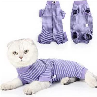 Cat Recovery Suit
