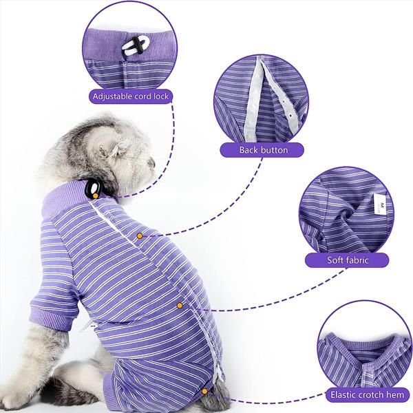 Cat Recovery Suit 2