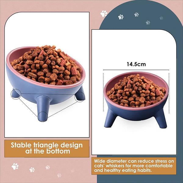 Elevated Cat Water/Food Bowl 4